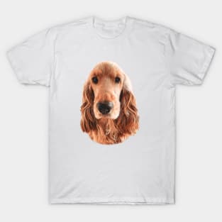 Golden English Cocker Spaniel T-Shirt